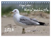 Produktbild: V&ouml;gel der Nordseek&uuml;ste (Tischkalender 2026 DIN A5 quer), CALVENDO Monatskalender