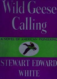 Produktbild: Wild Geese Calling