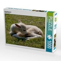 Produktbild: CALVENDO Puzzle Neugeborenes Alpaka | 1000 Teile Lege-Gr&ouml;&szlig;e 64x48cm Foto-Puzzle f&uuml;r gl&uuml;ckliche Stunden