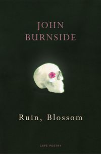 Produktbild: Ruin, Blossom