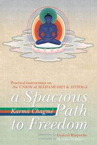 Produktbild: A Spacious Path to Freedom