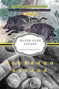 Bild vom Artikel Water over Stones vom Autor Bernardo Atxaga