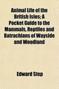 Produktbild: Animal Life of the British Isles; A Pocket Guide to the Mammals, Reptiles and Batrachians of Wayside and Woodland