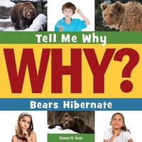 Produktbild: Bears Hibernate