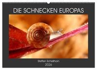 Produktbild: DIE SCHNECKEN EUROPAS (Wandkalender 2026 DIN A2 quer), CALVENDO Monatskalender