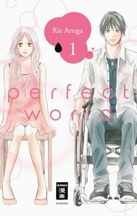 Produktbild: Perfect World 01