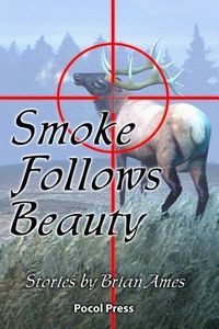 Produktbild: Smoke Follows Beauty