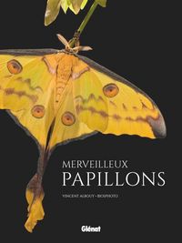Produktbild: Merveilleux papillons
