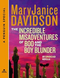 Produktbild: The Incredible Misadventures of Boo and the Boy Blunder