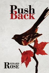Produktbild: PushBack