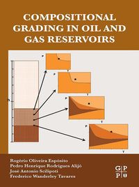Produktbild: Compositional Grading in Oil and Gas Reservoirs