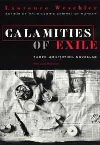 Produktbild: Calamities Of Exile