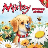 Produktbild: Marley Springs Ahead