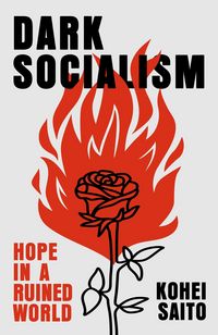 Produktbild: Dark Socialism