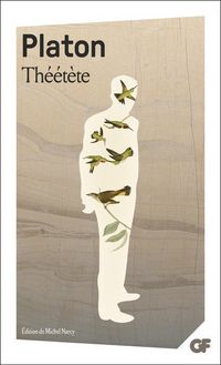 Produktbild: Theetete