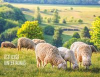 Einfach glücklich wandern Taunus