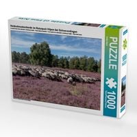 Produktbild: Heidschnuckenherde im Naturpark H&ouml;pen bei Schneverdingen (Puzzle)