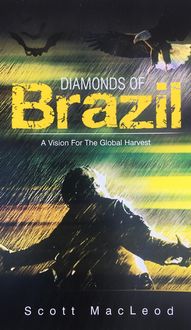 Produktbild: Diamonds of Brazil