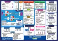 Produktbild: mindmemo Lernposter - Les pronoms - Die franz&ouml;sischen Pronomen - Franz&ouml;sische Grammatik lernen f&uuml;r Kinder und Erwachsene