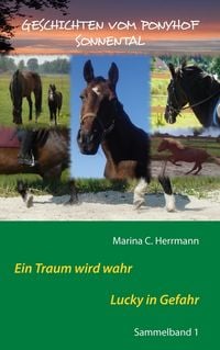 Produktbild: Geschichten vom Ponyhof Sonnental
