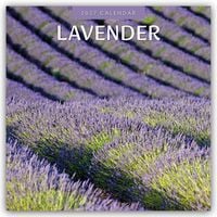 Produktbild: Lavender &ndash; Lavendel 2027 &ndash; 16-Monatskalender