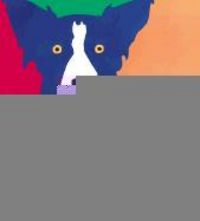 Produktbild: Why Is Blue Dog Blue?