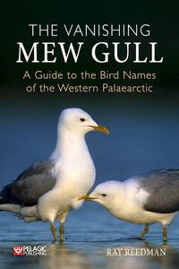 Produktbild: The Vanishing Mew Gull