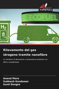 Produktbild: Rilevamento del gas idrogeno tramite nanofibre
