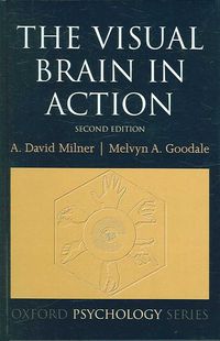 Produktbild: Visual Brain in Action Rev/e 2