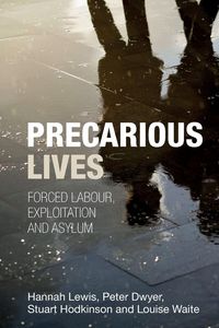 Produktbild: Precarious lives
