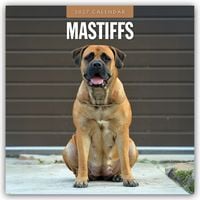 Produktbild: Mastiffs &ndash; Mastiff 2027 &ndash; 16-Monatskalender