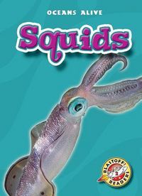 Produktbild: Squids