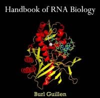 Produktbild: Handbook of RNA Biology