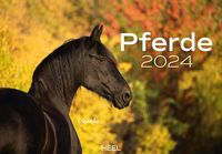 Bild vom Artikel Pferde Kalender 2024 vom Autor 