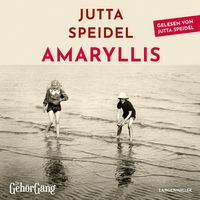 Produktbild: Amaryllis