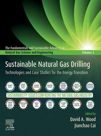 Produktbild: Sustainable Natural Gas Drilling