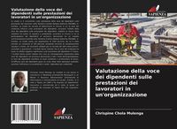 Produktbild: Valutazione della voce dei dipendenti sulle prestazioni dei lavoratori in un'organizzazione
