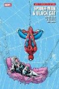Produktbild: Spider-Man & Black Cat
