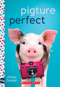 Produktbild: Pigture Perfect: A Wish Novel