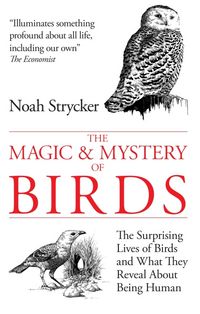 Produktbild: Strycker, N: The Magic & Mystery of Birds