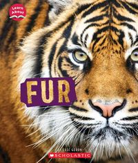 Produktbild: Fur (Learn About: Animal Coverings)
