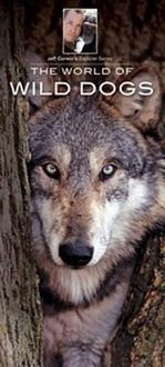 Produktbild: World Of Wild Dogs