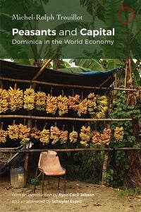 Produktbild: Peasants and Capital