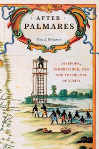 Produktbild: After Palmares