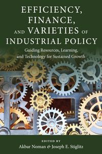 Produktbild: Efficiency, Finance, and Varieties of Industrial Policy