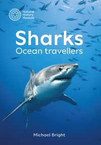 Produktbild: Sharks