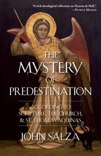 Produktbild: Mystery of Predestination