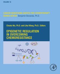 Produktbild: Epigenetic Regulation in Overcoming Chemoresistance