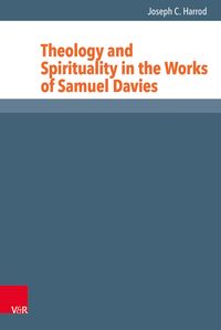 Produktbild: Theology and Spirituality in the Works of Samuel Davies