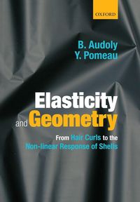 Produktbild: Elasticity and Geometry